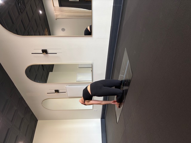 14b - Camel Pose
