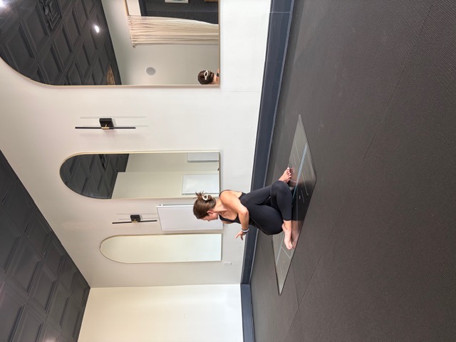 17b - Spine Twisting Pose